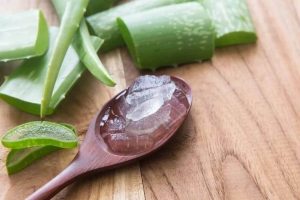 Cómo curar las varices con aloe vera