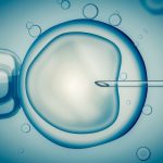 El proceso de la fecundación in vitro paso a paso
